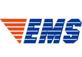 logo ems